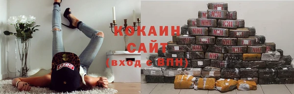 тгк Алзамай
