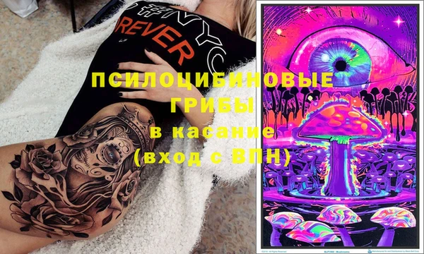 тгк Алзамай