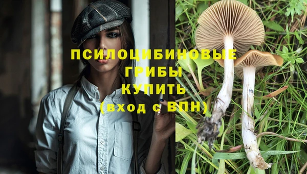 тгк Алзамай